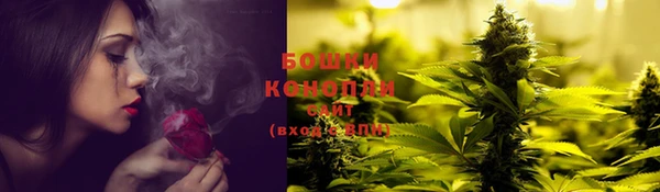 Альфа ПВП Кемь
