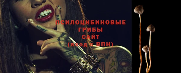 крисы Аркадак