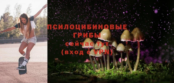 крисы Аркадак