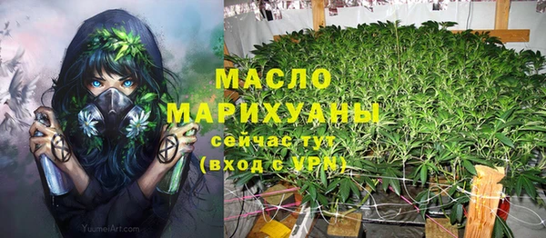 крисы Аркадак